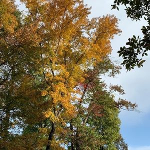 Meet your Posher, Lea